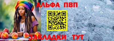крисы Кинель