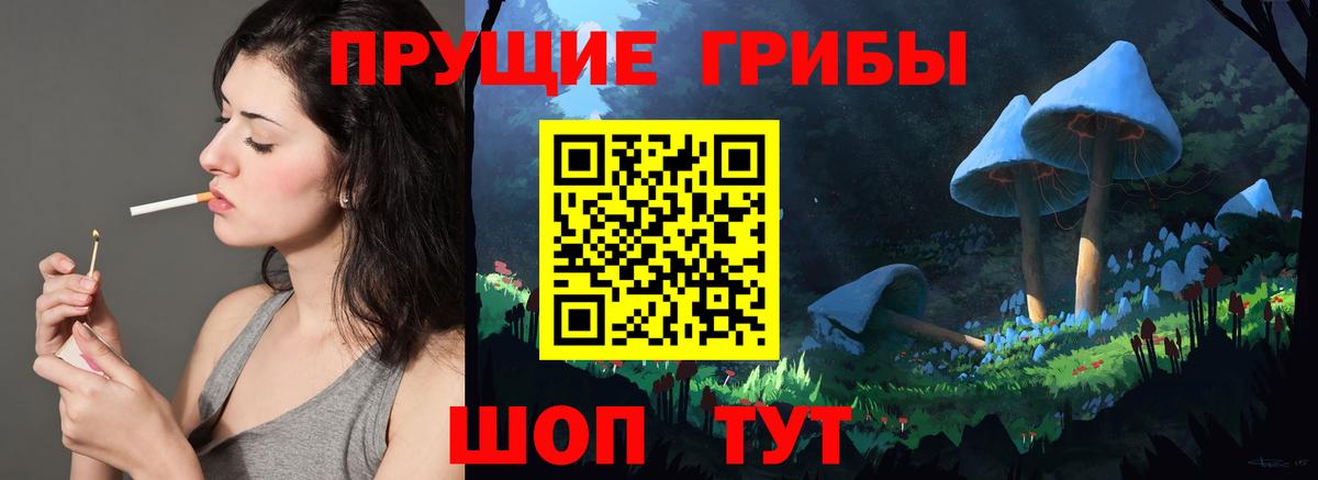 Галлюциногенные грибы GOLDEN TEACHER  Вход с VPN  Губкин 